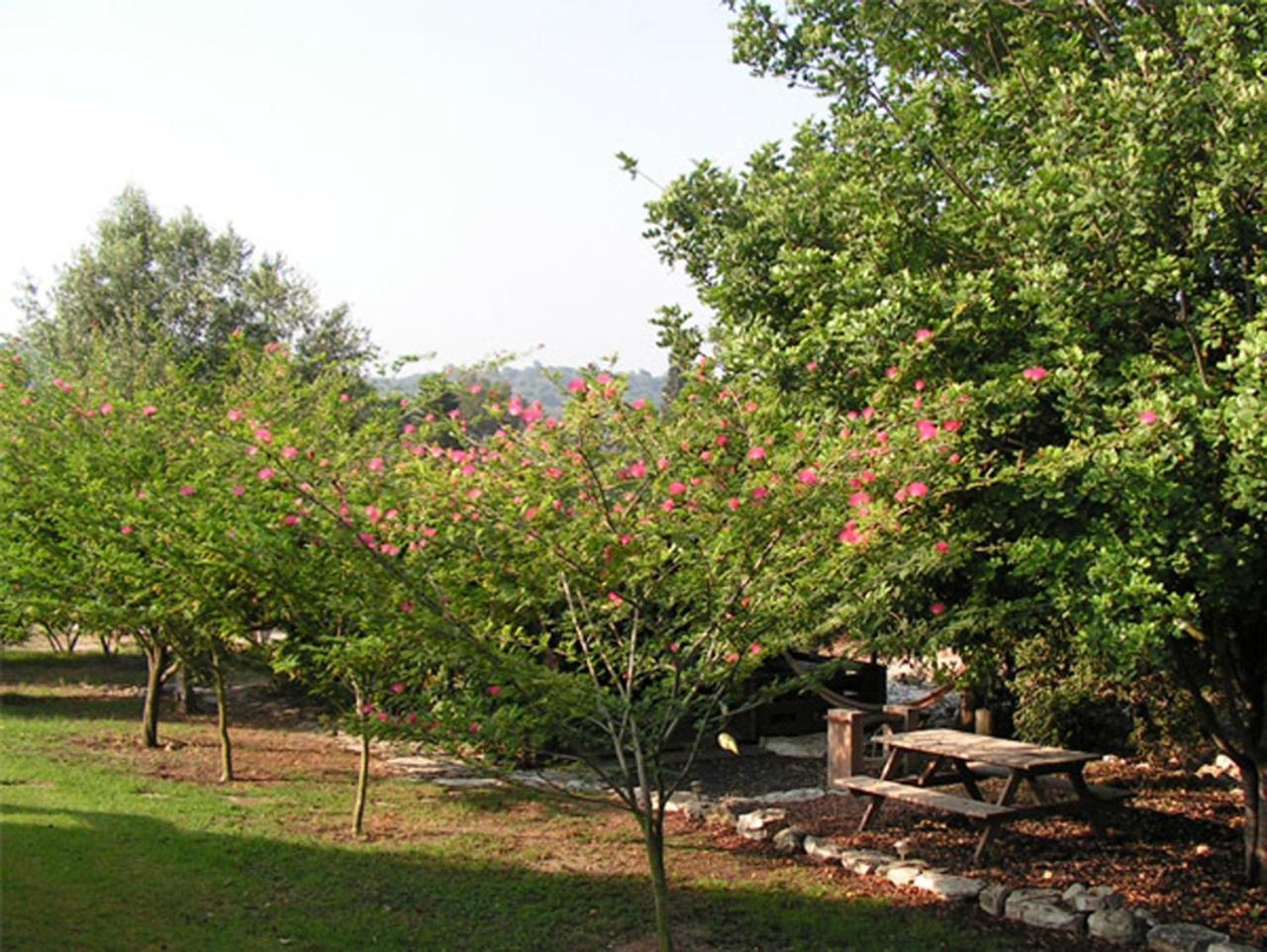 Amikam Meshek 81 משק 81 עמיקם Βίλα Εξωτερικό φωτογραφία